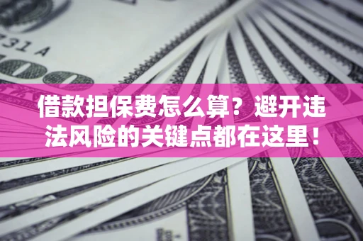 济南借款担保费怎么算？避开违法风险的关键点都在这里！