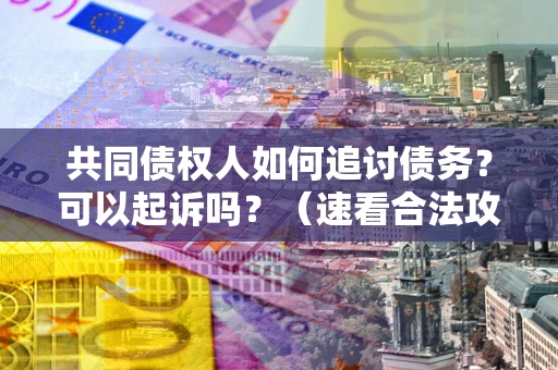 济南共同债权人如何追讨债务？可以起诉吗？（速看合法攻略）